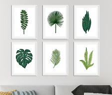 Botanical prints pictures for sale  SKEGNESS