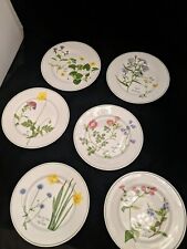 Platos, tazas y platillos galeses de flores silvestres, o tazón, lasaña, flan, usado segunda mano  Embacar hacia Argentina