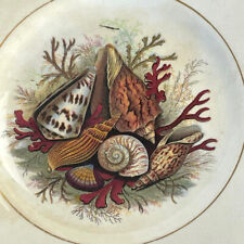 Prattware seashell plate for sale  WEDMORE