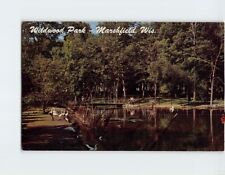 Postcard wildwood park for sale  Almond