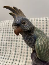 umbrella cockatoo for sale  Atlanta