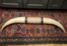 Longhorn steer horns for sale  Byron Center