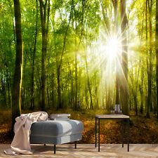 Forest sun nature for sale  Shipping to Ireland