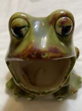 Ceramic frog sponge for sale  Santa Rosa Beach