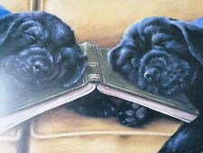 Paul doyle bookends for sale  CHESTERFIELD