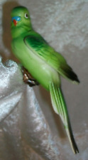 Green budgie budgerigar for sale  Archbald