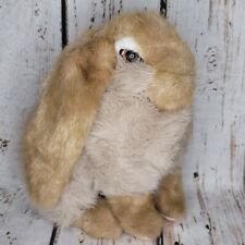 Applause holland lop for sale  Fayetteville