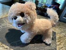 Dandee pompom puppy for sale  Lincoln