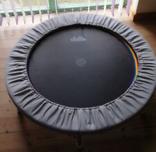 Trimilin mini trampolin gebraucht kaufen  Hamburg