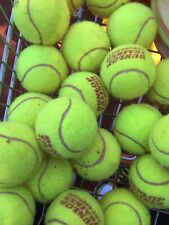 Gebrauchte tennisbälle außen gebraucht kaufen  Hartenholm