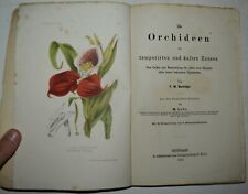 Orchidee fig. 1875 usato  Arezzo
