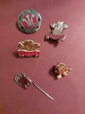 Welsh pin badge for sale  BRIGHTON