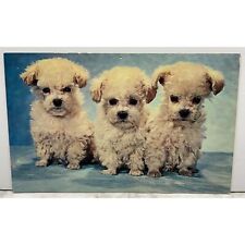 Puppy dogs postcard for sale  Kuna