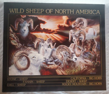 Wild sheep north for sale  Pierce