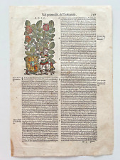 Mattioli xilografia 1500 usato  Treviso