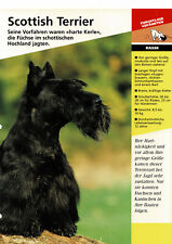 Scottish terrier informationsk gebraucht kaufen  Berlin