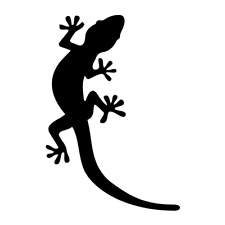 Sticker autocollant gecko d'occasion  Narbonne