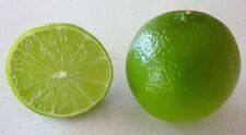 Key lime fresh for sale  Jacksonville