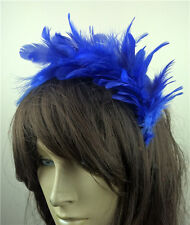 Royal blue feather for sale  MAIDENHEAD
