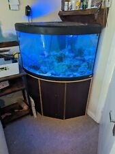 corner fish tank aquarium for sale  WORCESTER