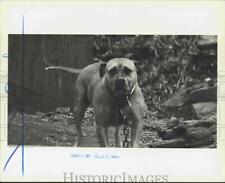 1991 press photo for sale  Memphis