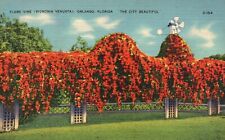 Postcard FL Orlando Florida Flame Vine Posted 1940 Linen Vintage PC G1744 for sale  Shipping to South Africa