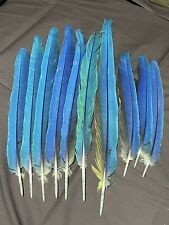 exotic bird feathers for sale  Wichita