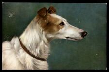 Borzoi russian wolfhound for sale  UK