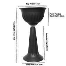 Black urn plant for sale  GLASGOW
