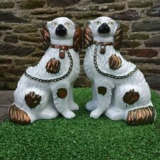 pottery spaniel dogs for sale  PULBOROUGH