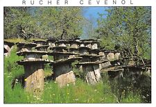 Rucher cevenol 3461 d'occasion  Expédié en Belgium