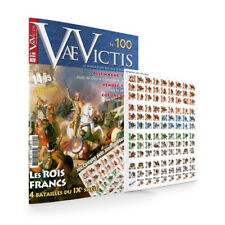 Vae victis 100 usato  Roma