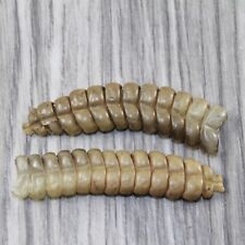 rattle snake rattle for sale  Parma