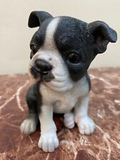 Boston terrier puppy for sale  LONDON