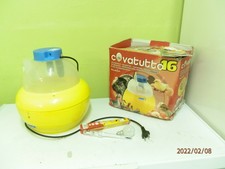 incubateur oeuf tortue d'occasion incubateur oeuf tortue d'occasion Cassel