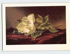 Postcard magnolia grandiflora for sale  Stevens Point
