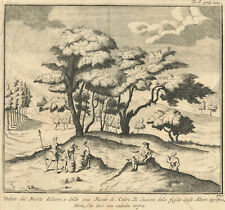 Veduta del Monte Libano e delle sue sue piante di Cedri"" T.Salmon, 1736 usato  Spedire a Italy