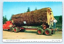 Giant oregon fir for sale  Palm Bay