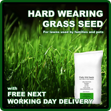Grass seed hard for sale  DARLINGTON