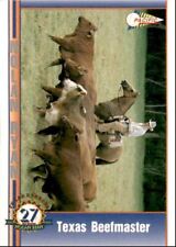 1993 Pacific Texas Express Baseball Card Nolan Ryan Texas Beefmaster #104 for sale  Shipping to South Africa