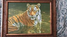 Tiger shallow waters for sale  LIVERPOOL