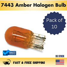 7443 amber halogen for sale  Brooklyn