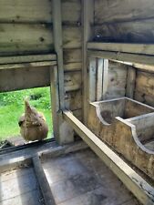 Chicken coop used for sale  HULL