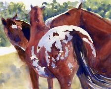 Giclee print horse for sale  Irmo