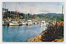 Oregon coast fishing for sale  Oakland