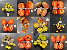 Tomatensamen favoriten set gebraucht kaufen  Röthlein