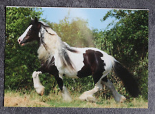 Postkarte tinker kaltblut gebraucht kaufen  Limburg