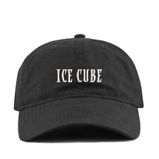 Ice cube dad for sale  Riegelsville