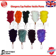 Glengarry cap feather for sale  EDGWARE