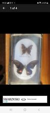 Real butterfly taxidermy for sale  Ireland